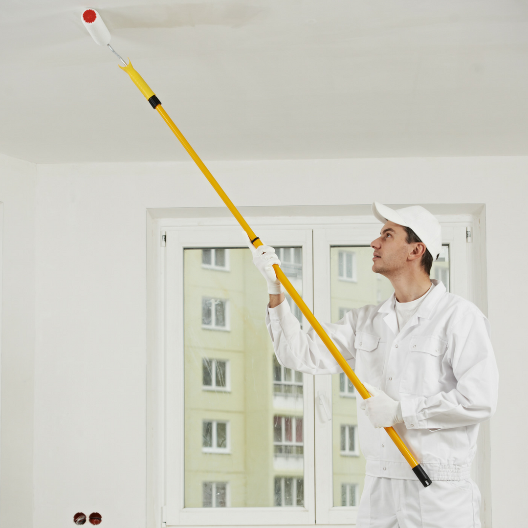 ZERO VOC CEILING PAINT. | homesteadhouse.ca