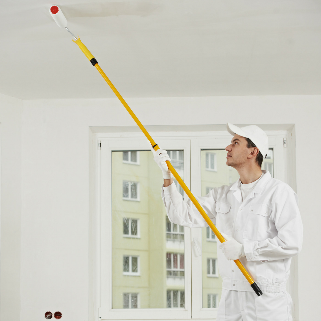 ZERO VOC CEILING PAINT.  | homesteadhouse.ca