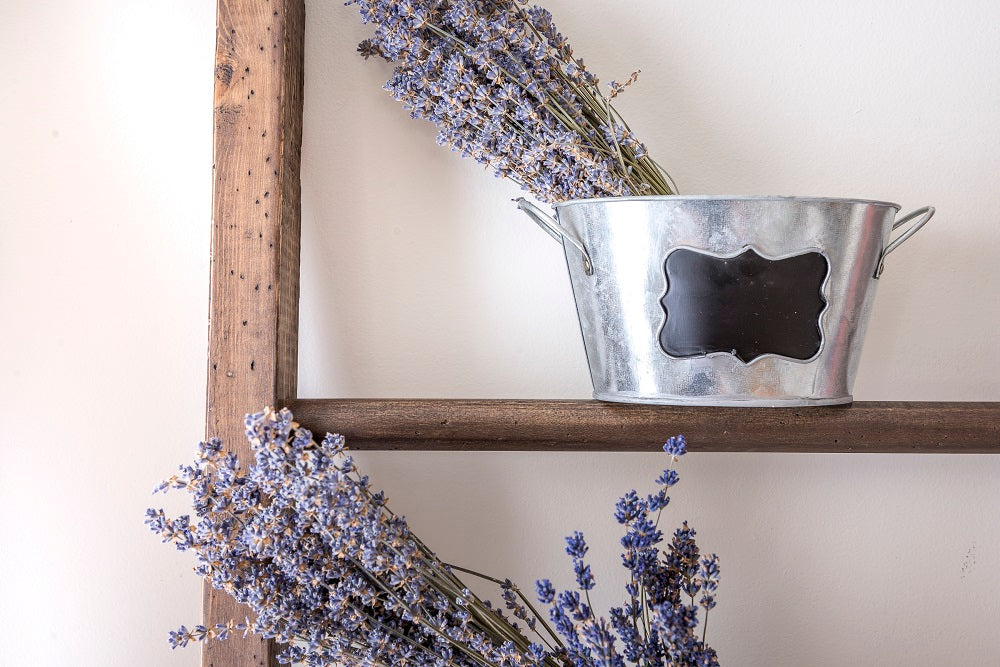 Sherwood Brown - MILK PAINT STAIN