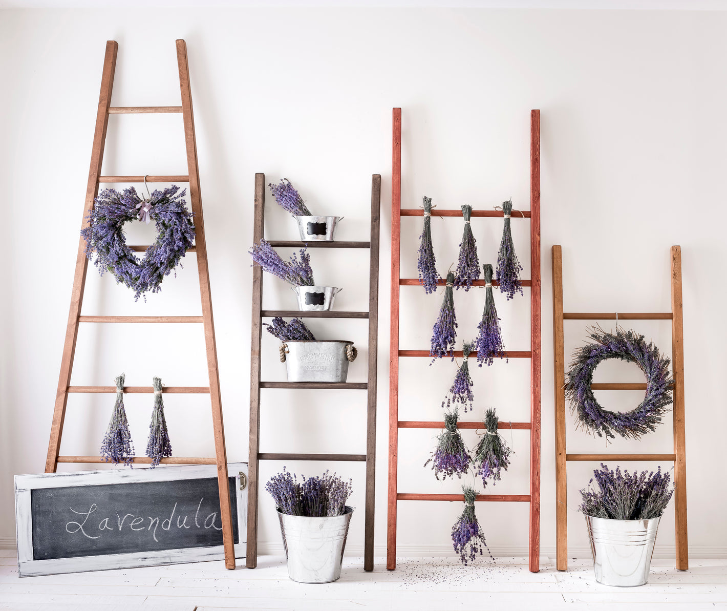 Milk Paint wood stained ladders against the wall with buckets of lavender